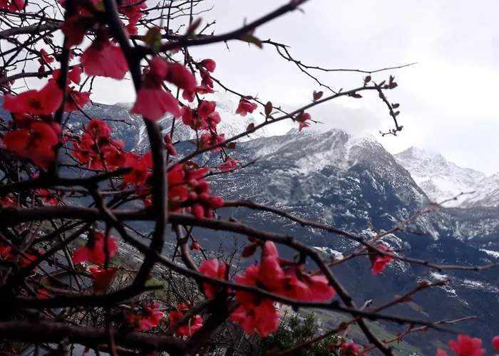 Appartement Lo Tsanty Casa *