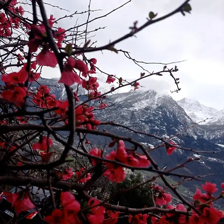 Appartement Lo Tsanty Casa *